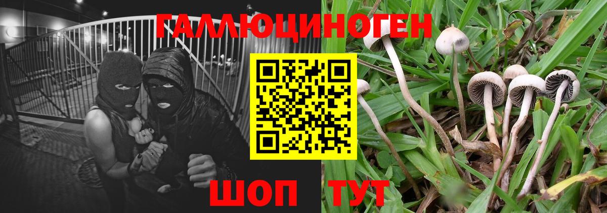 Псилоцибиновые грибы прущие грибы  Вход с VPN  Псилоцибиновые грибы Psilocybe  Воткинск 